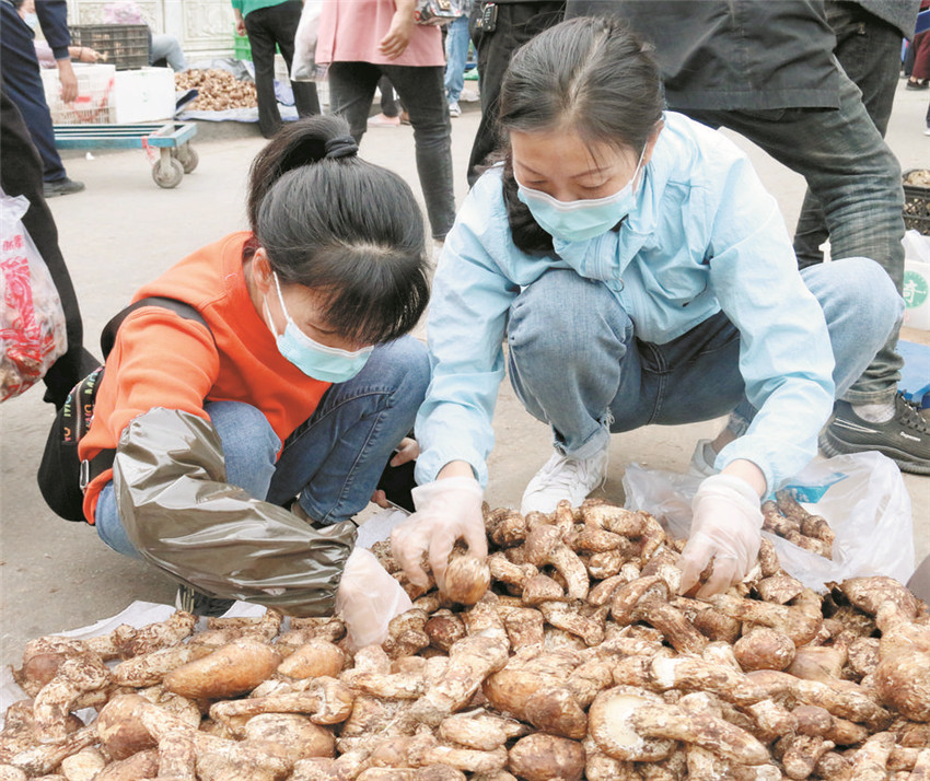 游客正在.jpg 游客正在.jpg