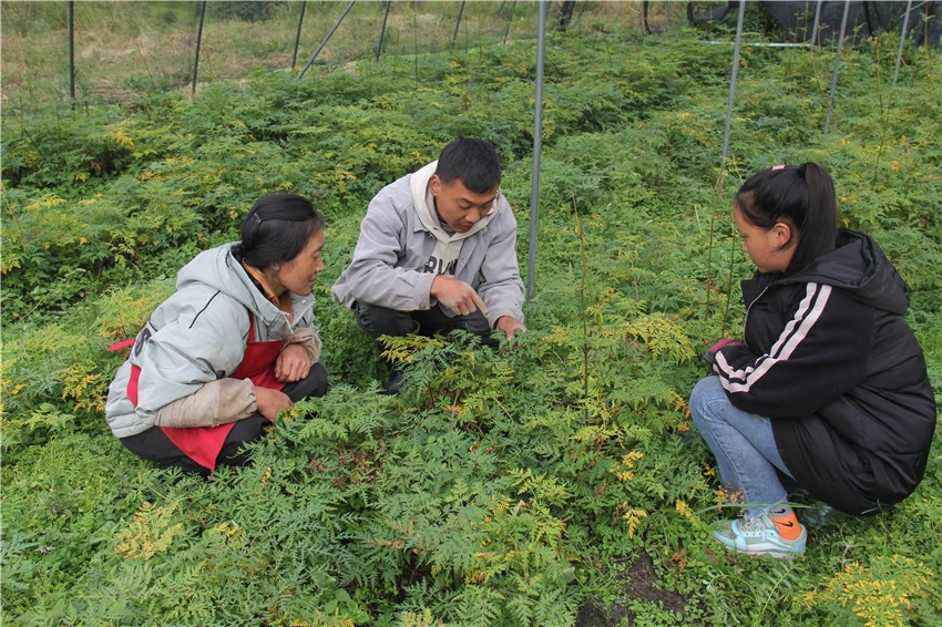 丹東村民.jpg 丹東村民.jpg