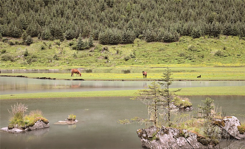 去甘孜 邂逅絕美湖泊海子！
