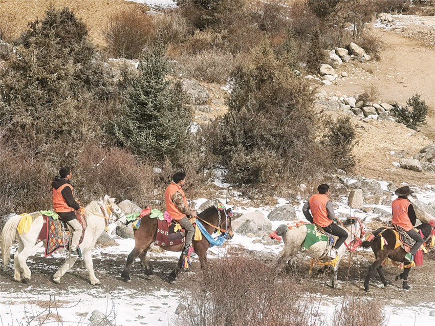 圖為巡護(hù)隊.jpg 圖為巡護(hù)隊.jpg