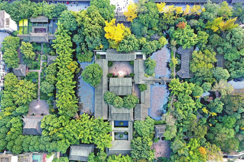 6月9日細雨中.jpg 6月9日細雨中.jpg