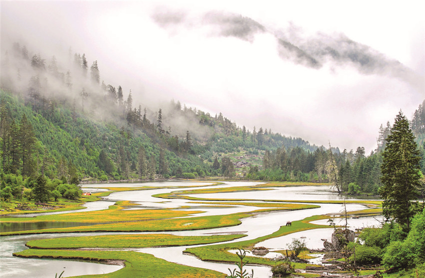 夏日甘孜.jpg 夏日甘孜.jpg