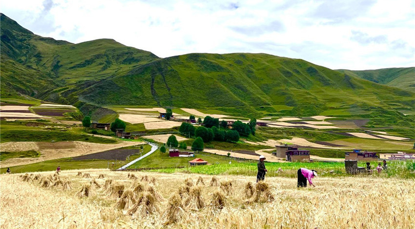 白玉縣登龍.jpg 白玉縣登龍.jpg